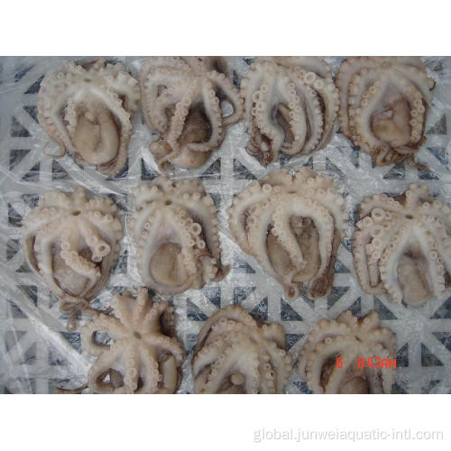 China fresh frozen octopus for sale Factory